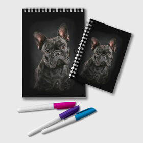 Блокнот с принтом Французский бульдог в Екатеринбурге, 100% бумага | 48 листов, плотность листов — 60 г/м2, плотность картонной обложки — 250 г/м2. Листы скреплены удобной пружинной спиралью. Цвет линий — светло-серый
 | Тематика изображения на принте: animal | background | beast | black | breed | bulldog | cool | cute | dog | ears | french | jaw | look | muzzle | portrait | wool | бульдог | взгляд | животное | зверь | милый | пёс | порода | портрет | прикольно | псина | собака | уши | фон | фра
