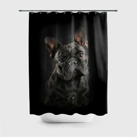 Штора 3D для ванной с принтом Французский бульдог в Екатеринбурге, 100% полиэстер | плотность материала — 100 г/м2. Стандартный размер — 146 см х 180 см. По верхнему краю — пластиковые люверсы для креплений. В комплекте 10 пластиковых колец | animal | background | beast | black | breed | bulldog | cool | cute | dog | ears | french | jaw | look | muzzle | portrait | wool | бульдог | взгляд | животное | зверь | милый | пёс | порода | портрет | прикольно | псина | собака | уши | фон | фра