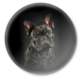 Значок с принтом Французский бульдог в Екатеринбурге,  металл | круглая форма, металлическая застежка в виде булавки | animal | background | beast | black | breed | bulldog | cool | cute | dog | ears | french | jaw | look | muzzle | portrait | wool | бульдог | взгляд | животное | зверь | милый | пёс | порода | портрет | прикольно | псина | собака | уши | фон | фра
