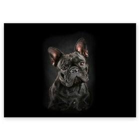 Поздравительная открытка с принтом Французский бульдог в Екатеринбурге, 100% бумага | плотность бумаги 280 г/м2, матовая, на обратной стороне линовка и место для марки
 | Тематика изображения на принте: animal | background | beast | black | breed | bulldog | cool | cute | dog | ears | french | jaw | look | muzzle | portrait | wool | бульдог | взгляд | животное | зверь | милый | пёс | порода | портрет | прикольно | псина | собака | уши | фон | фра