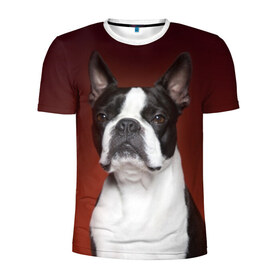 Мужская футболка 3D спортивная с принтом Французский бульдог в Екатеринбурге, 100% полиэстер с улучшенными характеристиками | приталенный силуэт, круглая горловина, широкие плечи, сужается к линии бедра | animal | background | beast | black | breed | bulldog | color | cool | cute | dog | e | jaw | look | muzzle | portrait | red | white | белый | бульдог | взгляд | животное | зверь | красный | милый | пёс | порода | портрет | прикольно | псина | соб