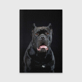 Обложка для паспорта матовая кожа с принтом Черный кан - корсо в Екатеринбурге, натуральная матовая кожа | размер 19,3 х 13,7 см; прозрачные пластиковые крепления | animal | background | beast | black | breed | can   corso | cool | cute | dog | ears | fangs | jaw | look | muzzle | portrait | tongue | wool | взгляд | животное | зверь | кан   корсо | клыки | милый | пёс | порода | портрет | прикольно | псина | 