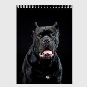 Скетчбук с принтом Черный кан - корсо в Екатеринбурге, 100% бумага
 | 48 листов, плотность листов — 100 г/м2, плотность картонной обложки — 250 г/м2. Листы скреплены сверху удобной пружинной спиралью | animal | background | beast | black | breed | can   corso | cool | cute | dog | ears | fangs | jaw | look | muzzle | portrait | tongue | wool | взгляд | животное | зверь | кан   корсо | клыки | милый | пёс | порода | портрет | прикольно | псина | 