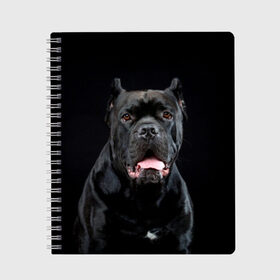Тетрадь с принтом Черный кан - корсо в Екатеринбурге, 100% бумага | 48 листов, плотность листов — 60 г/м2, плотность картонной обложки — 250 г/м2. Листы скреплены сбоку удобной пружинной спиралью. Уголки страниц и обложки скругленные. Цвет линий — светло-серый
 | animal | background | beast | black | breed | can   corso | cool | cute | dog | ears | fangs | jaw | look | muzzle | portrait | tongue | wool | взгляд | животное | зверь | кан   корсо | клыки | милый | пёс | порода | портрет | прикольно | псина | 