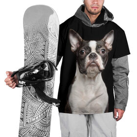 Накидка на куртку 3D с принтом Бостонский терьер в Екатеринбурге, 100% полиэстер |  | Тематика изображения на принте: animal | background | beast | black | boston | breed | color | cool | cute | dog | ears | jaw | look | muzzle | pet | portrait | terrier | white | wool | белый | бостон | взгляд | животное | зверь | милый | пёс | питомец | порода | портрет | прико