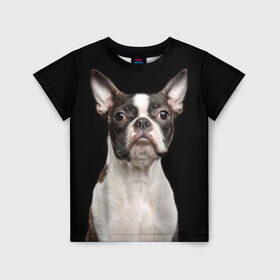 Детская футболка 3D с принтом Бостонский терьер в Екатеринбурге, 100% гипоаллергенный полиэфир | прямой крой, круглый вырез горловины, длина до линии бедер, чуть спущенное плечо, ткань немного тянется | Тематика изображения на принте: animal | background | beast | black | boston | breed | color | cool | cute | dog | ears | jaw | look | muzzle | pet | portrait | terrier | white | wool | белый | бостон | взгляд | животное | зверь | милый | пёс | питомец | порода | портрет | прико