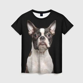 Женская футболка 3D с принтом Бостонский терьер в Екатеринбурге, 100% полиэфир ( синтетическое хлопкоподобное полотно) | прямой крой, круглый вырез горловины, длина до линии бедер | Тематика изображения на принте: animal | background | beast | black | boston | breed | color | cool | cute | dog | ears | jaw | look | muzzle | pet | portrait | terrier | white | wool | белый | бостон | взгляд | животное | зверь | милый | пёс | питомец | порода | портрет | прико