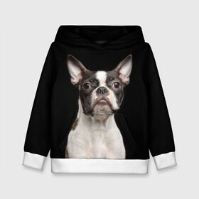 Детская толстовка 3D с принтом Бостонский терьер в Екатеринбурге, 100% полиэстер | двухслойный капюшон со шнурком для регулировки, мягкие манжеты на рукавах и по низу толстовки, спереди карман-кенгуру с мягким внутренним слоем | Тематика изображения на принте: animal | background | beast | black | boston | breed | color | cool | cute | dog | ears | jaw | look | muzzle | pet | portrait | terrier | white | wool | белый | бостон | взгляд | животное | зверь | милый | пёс | питомец | порода | портрет | прико