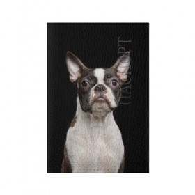 Обложка для паспорта матовая кожа с принтом Бостонский терьер в Екатеринбурге, натуральная матовая кожа | размер 19,3 х 13,7 см; прозрачные пластиковые крепления | Тематика изображения на принте: animal | background | beast | black | boston | breed | color | cool | cute | dog | ears | jaw | look | muzzle | pet | portrait | terrier | white | wool | белый | бостон | взгляд | животное | зверь | милый | пёс | питомец | порода | портрет | прико