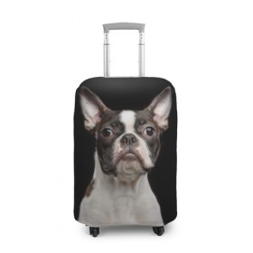 Чехол для чемодана 3D с принтом Бостонский терьер в Екатеринбурге, 86% полиэфир, 14% спандекс | двустороннее нанесение принта, прорези для ручек и колес | animal | background | beast | black | boston | breed | color | cool | cute | dog | ears | jaw | look | muzzle | pet | portrait | terrier | white | wool | белый | бостон | взгляд | животное | зверь | милый | пёс | питомец | порода | портрет | прико