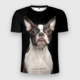 Мужская футболка 3D спортивная с принтом Бостонский терьер в Екатеринбурге, 100% полиэстер с улучшенными характеристиками | приталенный силуэт, круглая горловина, широкие плечи, сужается к линии бедра | Тематика изображения на принте: animal | background | beast | black | boston | breed | color | cool | cute | dog | ears | jaw | look | muzzle | pet | portrait | terrier | white | wool | белый | бостон | взгляд | животное | зверь | милый | пёс | питомец | порода | портрет | прико