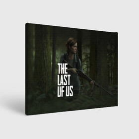 Холст прямоугольный с принтом THE LAST OF US ЭЛЛИ | ОДНИ ИЗ НАС ELLIE в Екатеринбурге, 100% ПВХ |  | gamer | player | stels | the last of us | the last of us part 2 | бегун | джоэл | каннибалы | охотники | сталкер | топляк | цикады | щелкун | элли