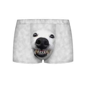 Мужские трусы 3D с принтом Собака - улыбака в Екатеринбурге, 50% хлопок, 50% полиэстер | классическая посадка, на поясе мягкая тканевая резинка | животные | зубы | мордочка | пес | прикол | смешная | собака | улыбака | улыбка | щенок | юмор