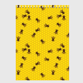 Скетчбук с принтом Пчелы в сотах в Екатеринбурге, 100% бумага
 | 48 листов, плотность листов — 100 г/м2, плотность картонной обложки — 250 г/м2. Листы скреплены сверху удобной пружинной спиралью | bee | beehive | brown | bug | honey | honeycomb | insect | toiler | yellow | букашка | желтый | коричневый | мёд | насекомое | пчела | соты | труженик | улей