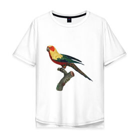 Мужская футболка хлопок Oversize с принтом Попугай. Аратинга. в Екатеринбурге, 100% хлопок | свободный крой, круглый ворот, “спинка” длиннее передней части | аратинга | бразилия | зоозащита | попугаи | попугайчики | природа | птица | птицы | солнечный
