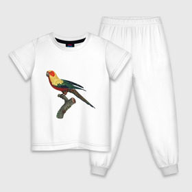 Детская пижама хлопок с принтом Попугай. Аратинга. в Екатеринбурге, 100% хлопок |  брюки и футболка прямого кроя, без карманов, на брюках мягкая резинка на поясе и по низу штанин
 | аратинга | бразилия | зоозащита | попугаи | попугайчики | природа | птица | птицы | солнечный