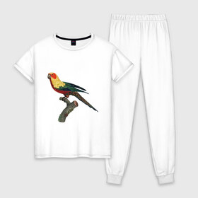 Женская пижама хлопок с принтом Попугай. Аратинга. в Екатеринбурге, 100% хлопок | брюки и футболка прямого кроя, без карманов, на брюках мягкая резинка на поясе и по низу штанин | аратинга | бразилия | зоозащита | попугаи | попугайчики | природа | птица | птицы | солнечный