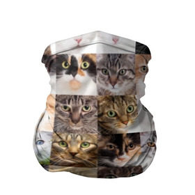 Бандана-труба 3D с принтом Кошачий коллаж в Екатеринбурге, 100% полиэстер, ткань с особыми свойствами — Activecool | плотность 150‒180 г/м2; хорошо тянется, но сохраняет форму | Тематика изображения на принте: breed | cat | cats | collage | eyes | fluffy | funny | kitten | look | meow | mustache | muzzle | photo | squares | взгляд | глаза | квадраты | коллаж | кот | котёнок | котики | кошка | мяу | порода | прикольный | пушистый | усы | фото