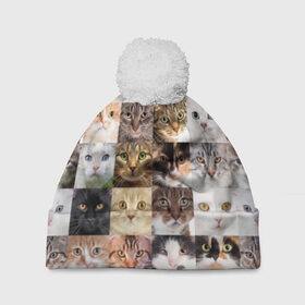 Шапка 3D c помпоном с принтом Кошачий коллаж в Екатеринбурге, 100% полиэстер | универсальный размер, печать по всей поверхности изделия | breed | cat | cats | collage | eyes | fluffy | funny | kitten | look | meow | mustache | muzzle | photo | squares | взгляд | глаза | квадраты | коллаж | кот | котёнок | котики | кошка | мяу | порода | прикольный | пушистый | усы | фото