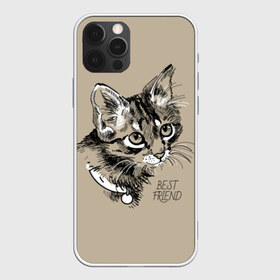 Чехол для iPhone 12 Pro Max с принтом Best friend в Екатеринбурге, Силикон |  | attractive face | cat | collar | cute | drawing | funny | kitten | mustache | touching | забавный | кот | котёнок | милый | ошейник | рисунок | трогательный | усы