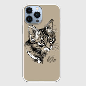 Чехол для iPhone 13 Pro Max с принтом Best friend в Екатеринбурге,  |  | attractive face | cat | collar | cute | drawing | funny | kitten | mustache | touching | забавный | кот | котёнок | милый | ошейник | рисунок | трогательный | усы
