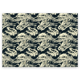 Поздравительная открытка с принтом Черепа динозавров в Екатеринбурге, 100% бумага | плотность бумаги 280 г/м2, матовая, на обратной стороне линовка и место для марки
 | animal | black | dinosaur | predator | skeleton | skull | white | белый | динозавр | животное | скелет | хищник | череп | черный