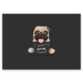 Поздравительная открытка с принтом I need my “reward” в Екатеринбурге, 100% бумага | плотность бумаги 280 г/м2, матовая, на обратной стороне линовка и место для марки
 | animal | breed | dog | eyes | funny | gray | look | muzzle | pug | slogan | text | взгляд | глаза | животное | забавный | мопс | порода | серый | слоган | собака | текст