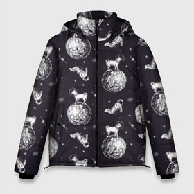 Мужская зимняя куртка 3D с принтом Собаки - астронавты в Екатеринбурге, верх — 100% полиэстер; подкладка — 100% полиэстер; утеплитель — 100% полиэстер | длина ниже бедра, свободный силуэт Оверсайз. Есть воротник-стойка, отстегивающийся капюшон и ветрозащитная планка. 

Боковые карманы с листочкой на кнопках и внутренний карман на молнии. | Тематика изображения на принте: astronaut | black | breed | chihuahua | dog | flight | galaxy | helmet | planet | space | spacesuit | white | астронавт | белый | галактика | космос | пёс | планета | полёт | порода | скафандр | собака | черный | чихуахуа | шлем