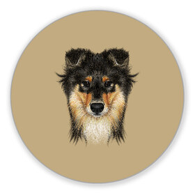 Коврик для мышки круглый с принтом Sheltie в Екатеринбурге, резина и полиэстер | круглая форма, изображение наносится на всю лицевую часть | animal | black | breed | brown | cute | dog | drawing | eyes | kind | look | muzzle | portrait | red | взгляд | глаза | добрый | животное | коричневый | милый | пёс | порода | портрет | рисунок | рыжий | собака | черный | шелти