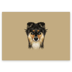 Поздравительная открытка с принтом Sheltie в Екатеринбурге, 100% бумага | плотность бумаги 280 г/м2, матовая, на обратной стороне линовка и место для марки
 | animal | black | breed | brown | cute | dog | drawing | eyes | kind | look | muzzle | portrait | red | взгляд | глаза | добрый | животное | коричневый | милый | пёс | порода | портрет | рисунок | рыжий | собака | черный | шелти