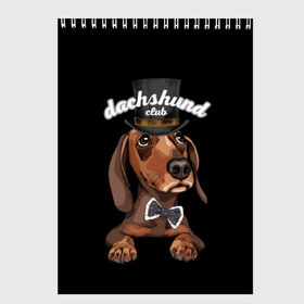 Скетчбук с принтом Такса в цилиндре в Екатеринбурге, 100% бумага
 | 48 листов, плотность листов — 100 г/м2, плотность картонной обложки — 250 г/м2. Листы скреплены сверху удобной пружинной спиралью | animal | black | bowtie | breed | brown | cool | cylinder | dachshund | dog | gentleman | muzzle | white | белый | галстук  бабочка | джентльмен | животное | коричневый | порода | прикольный | собака | такса | цилиндр | черный