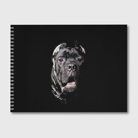Альбом для рисования с принтом Мастиф в Екатеринбурге, 100% бумага
 | матовая бумага, плотность 200 мг. | animal | black | collar | dog | friend | look | man | muzzle | взгляд | друг | животное | мастиф | ошейник | пёс | собака | человека | черный