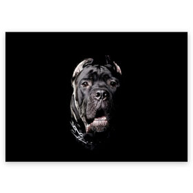 Поздравительная открытка с принтом Мастиф в Екатеринбурге, 100% бумага | плотность бумаги 280 г/м2, матовая, на обратной стороне линовка и место для марки
 | Тематика изображения на принте: animal | black | collar | dog | friend | look | man | muzzle | взгляд | друг | животное | мастиф | ошейник | пёс | собака | человека | черный
