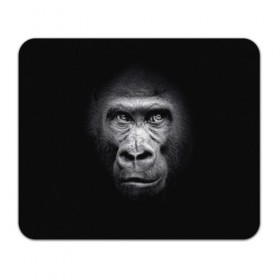 Коврик для мышки прямоугольный с принтом Горилла в Екатеринбурге, натуральный каучук | размер 230 х 185 мм; запечатка лицевой стороны | Тематика изображения на принте: animal | black | eyes | fauna | gorilla | gray | look | monkey | muzzle | primate | взгляд | глаза | горилла | животное | обезьяна | примат | серый | фауна | черный