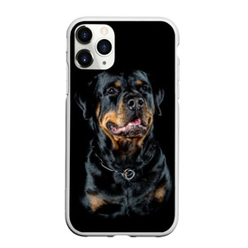 Чехол для iPhone 11 Pro матовый с принтом Ротвейлер в Екатеринбурге, Силикон |  | animal | black | breed | collar | dog | friend | glance | gloss | man | muzzle | rottweiler | взгляд | друг | животное | лоск | ошейник | пёс | порода | ротвейлер | собака | человека | черный