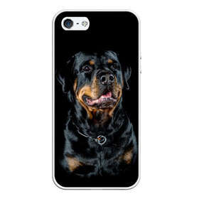 Чехол для iPhone 5/5S матовый с принтом Ротвейлер в Екатеринбурге, Силикон | Область печати: задняя сторона чехла, без боковых панелей | animal | black | breed | collar | dog | friend | glance | gloss | man | muzzle | rottweiler | взгляд | друг | животное | лоск | ошейник | пёс | порода | ротвейлер | собака | человека | черный