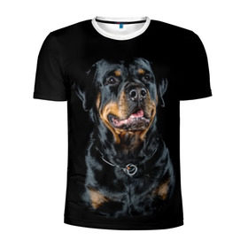 Мужская футболка 3D спортивная с принтом Ротвейлер в Екатеринбурге, 100% полиэстер с улучшенными характеристиками | приталенный силуэт, круглая горловина, широкие плечи, сужается к линии бедра | animal | black | breed | collar | dog | friend | glance | gloss | man | muzzle | rottweiler | взгляд | друг | животное | лоск | ошейник | пёс | порода | ротвейлер | собака | человека | черный