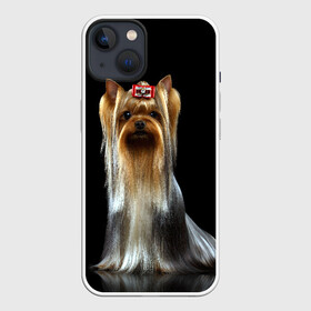 Чехол для iPhone 13 с принтом Йоркширский терьер в Екатеринбурге,  |  | animal | barrette | breed | cute | dog | funny | muzzle | small | terrier | yorkshire | животное | забавный | заколка | йоркширский | маленький | милый | порода | смешной | собака | терьер