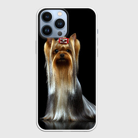 Чехол для iPhone 13 Pro Max с принтом Йоркширский терьер в Екатеринбурге,  |  | Тематика изображения на принте: animal | barrette | breed | cute | dog | funny | muzzle | small | terrier | yorkshire | животное | забавный | заколка | йоркширский | маленький | милый | порода | смешной | собака | терьер