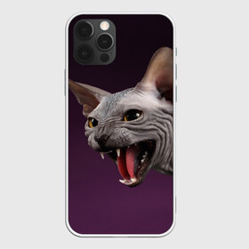 Чехол для iPhone 12 Pro Max с принтом Сфинкс в Екатеринбурге, Силикон |  | aggressive | angry | animal | bald | breed | cat | dangerous | fangs | gray | purple | sphinx | агрессивный | животное | злой | клыки | кот | лысый | опасный | порода | серый | сфинкс | фиолетовый