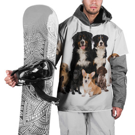 Накидка на куртку 3D с принтом Породистые собаки в Екатеринбурге, 100% полиэстер |  | animal | bernese | breed | bulldog | corgi | cute | dog | french | funny | jack | labrador | mountain dog | muzzle | paws | pug | puppy | spaniel | бернский | бульдог | джек рассел | животное | забавный | зенненхунд | корги | лабрадор | лапы | милый