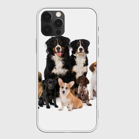 Чехол для iPhone 12 Pro Max с принтом Породистые собаки в Екатеринбурге, Силикон |  | animal | bernese | breed | bulldog | corgi | cute | dog | french | funny | jack | labrador | mountain dog | muzzle | paws | pug | puppy | spaniel | бернский | бульдог | джек рассел | животное | забавный | зенненхунд | корги | лабрадор | лапы | милый