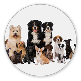 Коврик для мышки круглый с принтом Породистые собаки в Екатеринбурге, резина и полиэстер | круглая форма, изображение наносится на всю лицевую часть | animal | bernese | breed | bulldog | corgi | cute | dog | french | funny | jack | labrador | mountain dog | muzzle | paws | pug | puppy | spaniel | бернский | бульдог | джек рассел | животное | забавный | зенненхунд | корги | лабрадор | лапы | милый