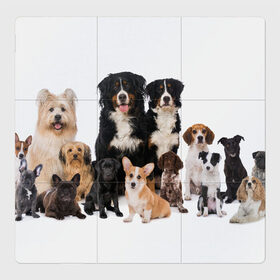 Магнитный плакат 3Х3 с принтом Породистые собаки в Екатеринбурге, Полимерный материал с магнитным слоем | 9 деталей размером 9*9 см | animal | bernese | breed | bulldog | corgi | cute | dog | french | funny | jack | labrador | mountain dog | muzzle | paws | pug | puppy | spaniel | бернский | бульдог | джек рассел | животное | забавный | зенненхунд | корги | лабрадор | лапы | милый