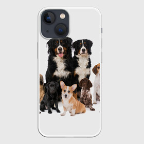 Чехол для iPhone 13 mini с принтом Породистые собаки в Екатеринбурге,  |  | animal | bernese | breed | bulldog | corgi | cute | dog | french | funny | jack | labrador | mountain dog | muzzle | paws | pug | puppy | spaniel | бернский | бульдог | джек рассел | животное | забавный | зенненхунд | корги | лабрадор | лапы | милый