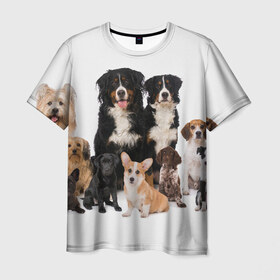 Мужская футболка 3D с принтом Породистые собаки в Екатеринбурге, 100% полиэфир | прямой крой, круглый вырез горловины, длина до линии бедер | animal | bernese | breed | bulldog | corgi | cute | dog | french | funny | jack | labrador | mountain dog | muzzle | paws | pug | puppy | spaniel | бернский | бульдог | джек рассел | животное | забавный | зенненхунд | корги | лабрадор | лапы | милый