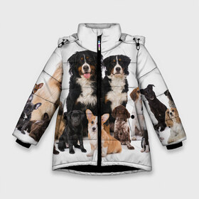 Зимняя куртка для девочек 3D с принтом Породистые собаки в Екатеринбурге, ткань верха — 100% полиэстер; подклад — 100% полиэстер, утеплитель — 100% полиэстер. | длина ниже бедра, удлиненная спинка, воротник стойка и отстегивающийся капюшон. Есть боковые карманы с листочкой на кнопках, утяжки по низу изделия и внутренний карман на молнии. 

Предусмотрены светоотражающий принт на спинке, радужный светоотражающий элемент на пуллере молнии и на резинке для утяжки. | animal | bernese | breed | bulldog | corgi | cute | dog | french | funny | jack | labrador | mountain dog | muzzle | paws | pug | puppy | spaniel | бернский | бульдог | джек рассел | животное | забавный | зенненхунд | корги | лабрадор | лапы | милый