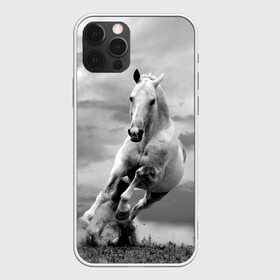 Чехол для iPhone 12 Pro с принтом Белая лошадь в Екатеринбурге, силикон | область печати: задняя сторона чехла, без боковых панелей | animal | beautiful | gloss | horse | mane | mustang | muzzle | nature | white | wild | белый | грива | дикий | животное | конь | красивый | лоск | лошадь | мустанг | природа | скакун