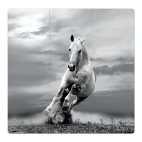 Магнитный плакат 3Х3 с принтом Белая лошадь в Екатеринбурге, Полимерный материал с магнитным слоем | 9 деталей размером 9*9 см | animal | beautiful | gloss | horse | mane | mustang | muzzle | nature | white | wild | белый | грива | дикий | животное | конь | красивый | лоск | лошадь | мустанг | природа | скакун