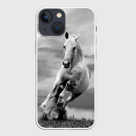 Чехол для iPhone 13 mini с принтом Белая лошадь в Екатеринбурге,  |  | animal | beautiful | gloss | horse | mane | mustang | muzzle | nature | white | wild | белый | грива | дикий | животное | конь | красивый | лоск | лошадь | мустанг | природа | скакун